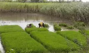 ಸಮಗ್ರ ಕೃಷಿ ಪದ್ಧತಿ ತರಬೇತಿ