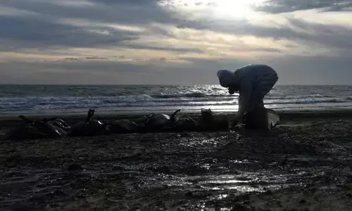 Russian Black Sea Oil