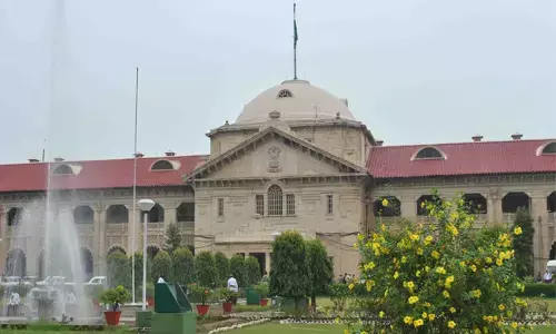 Allahabad High Court