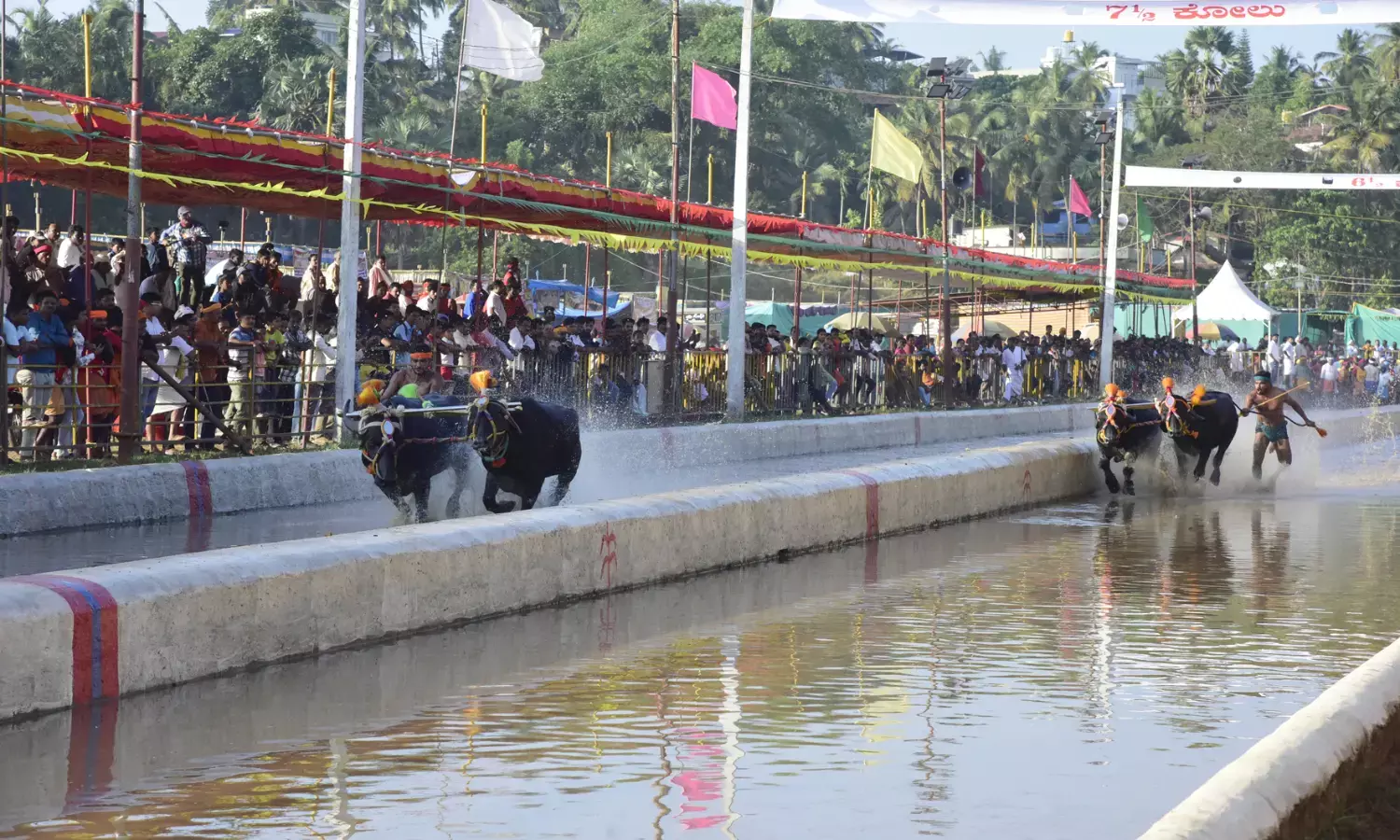ಕಂಬಳದಲ್ಲಿ ರಾಜಕೀಯ ಇರಬಾರದು: ಮಿಥುನ್ ರೈ