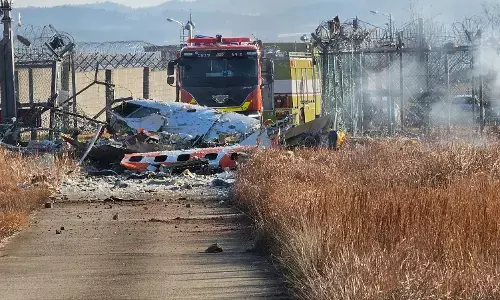 Photo of South Korea flight that crashed