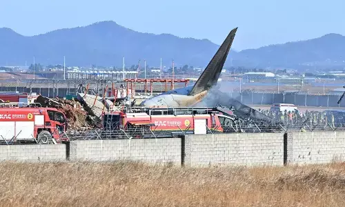 Plane crash at South Korea