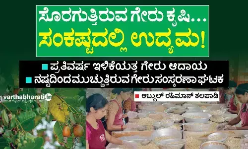 ಸೊರಗುತ್ತಿರುವ ಗೇರು ಕೃಷಿ...   ಸಂಕಷ್ಟದಲ್ಲಿ ಉದ್ಯಮ !