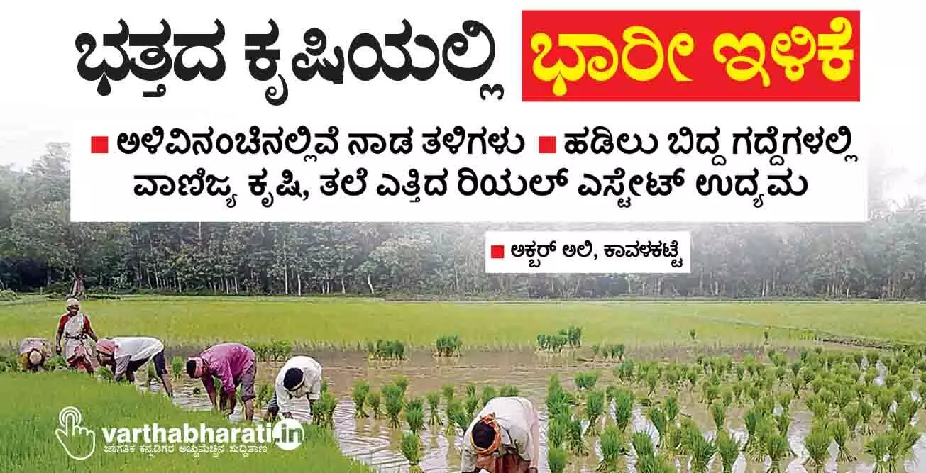 ಭತ್ತದ ಕೃಷಿಯಲ್ಲಿ ಭಾರೀ ಇಳಿಕೆ ಭತ್ತದ ಕೃಷಿಯಲ್ಲಿ ಭಾರೀ ಇಳಿಕೆ