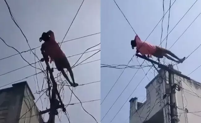 ಆಂಧ್ರಪ್ರದೇಶ | ಮದ್ಯ ಸೇವನೆಗೆ ಹಣ ನೀಡಲಿಲ್ಲವೆಂದು ವಿದ್ಯುತ್ ಕಂಬವೇರಿ ತಂತಿಗಳ ಮೇಲೆ ಮಲಗಿಕೊಂಡ ಕುಡುಕ!