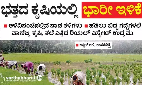 ಭತ್ತದ ಕೃಷಿಯಲ್ಲಿ ಭಾರೀ ಇಳಿಕೆ