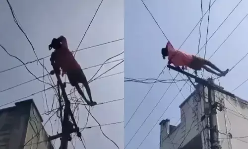 ಆಂಧ್ರಪ್ರದೇಶ | ಮದ್ಯ ಸೇವನೆಗೆ ಹಣ ನೀಡಲಿಲ್ಲವೆಂದು ವಿದ್ಯುತ್ ಕಂಬವೇರಿ ತಂತಿಗಳ ಮೇಲೆ ಮಲಗಿಕೊಂಡ ಕುಡುಕ!