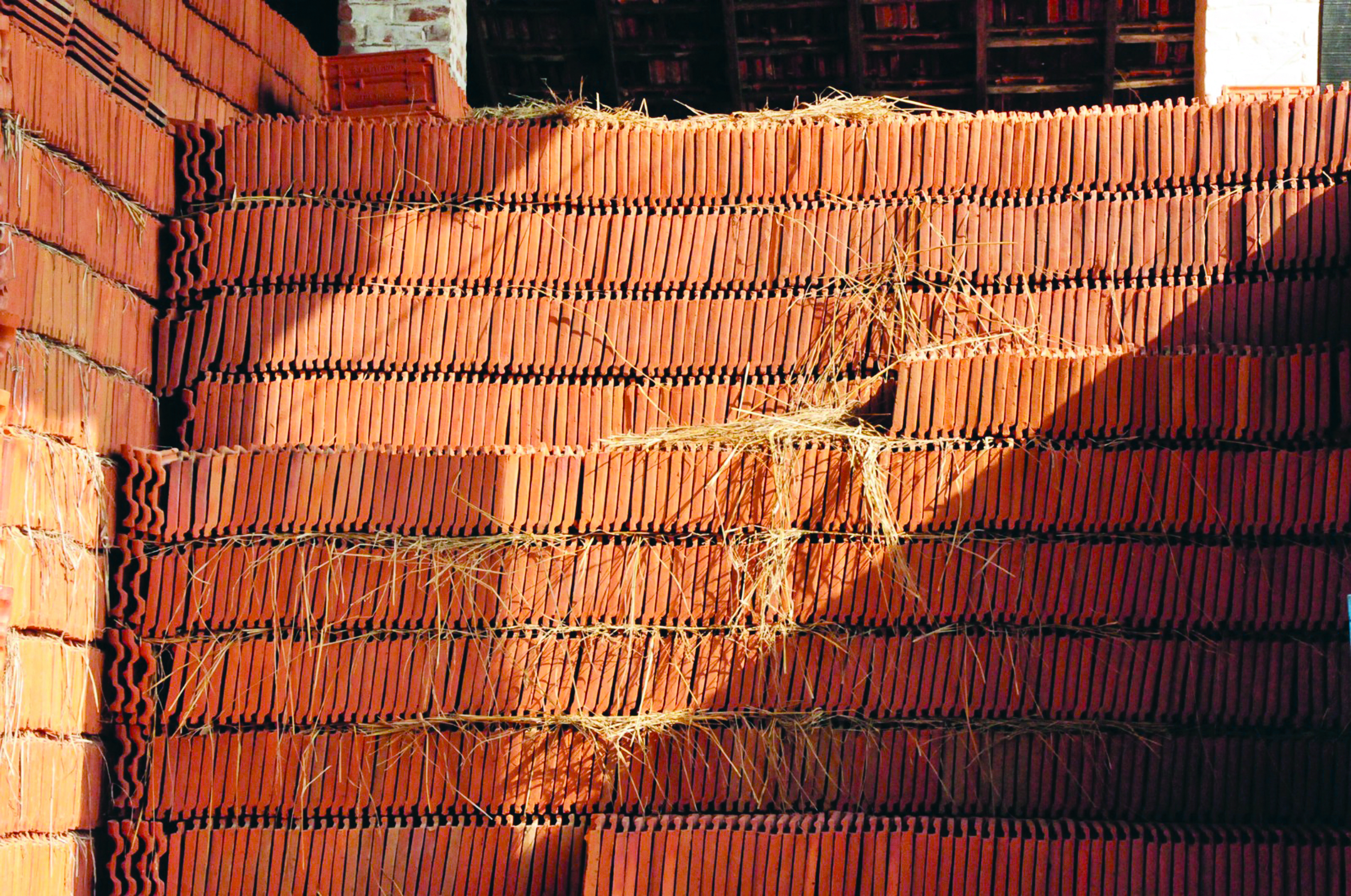 ಅಳಿವಿನ ಅಂಚಿನಲ್ಲಿ ಮಂಗಳೂರು ಹೆಂಚು ಅಳಿವಿನ ಅಂಚಿನಲ್ಲಿ ಮಂಗಳೂರು ಹೆಂಚು