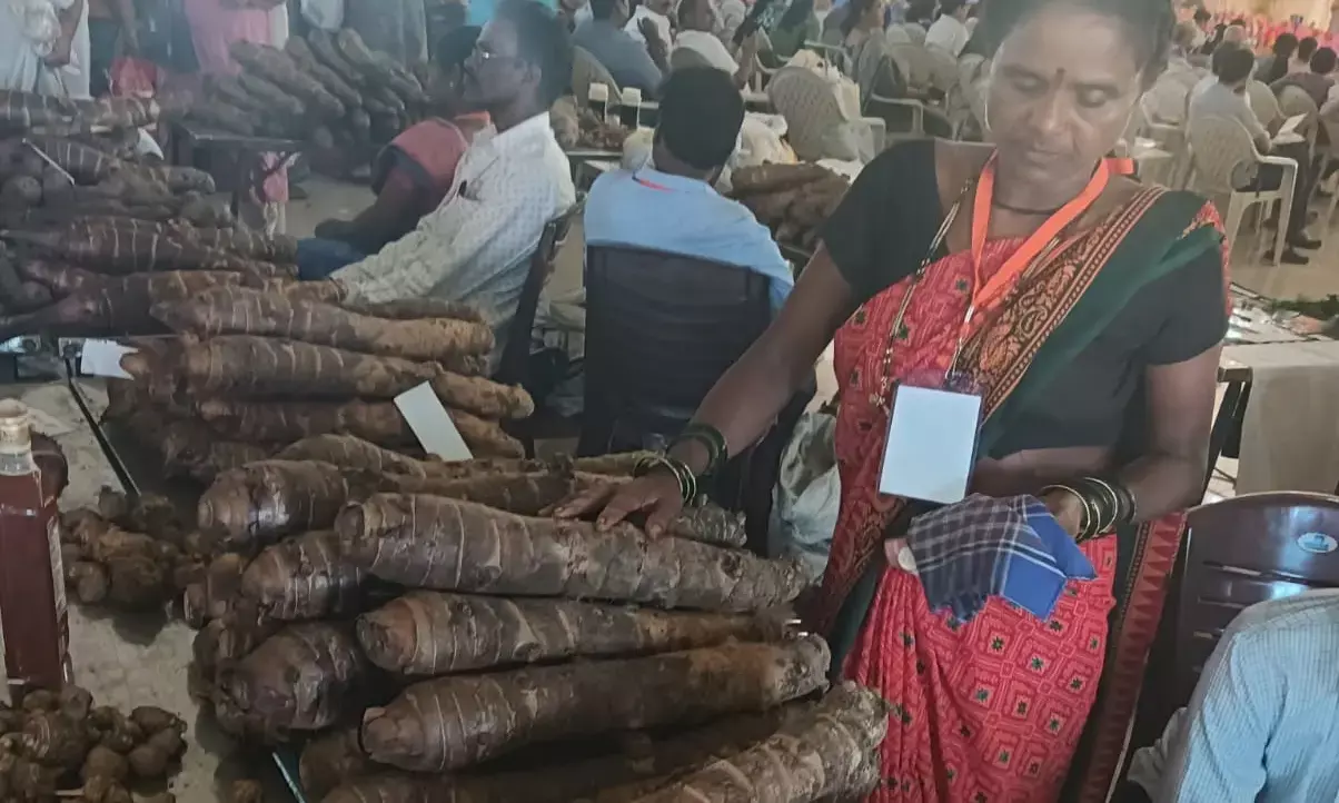 ಮಂಗಳೂರು: ಗೆಡ್ಡೆ ಗೆಣಸು, ಸೊಪ್ಪಿನ ಮೇಳಕ್ಕೆ ಹರಿದು ಬಂದ ಜನ ಸಾಗರ