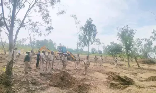 ಯಾದಗಿರಿ | 50 ಎಕರೆ ಅರಣ್ಯ ಭೂಮಿ ಒತ್ತುವರಿ ತೆರವು