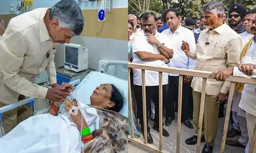 CM Chandrababu Naidu