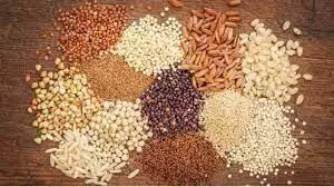 ಜ.11ರಂದು ಉಡುಪಿ ಜಿಲ್ಲಾ ಮಟ್ಟದ ಸಿರಿಧಾನ್ಯ ಹಬ್ಬ ಜ.11ರಂದು ಉಡುಪಿ ಜಿಲ್ಲಾ ಮಟ್ಟದ ಸಿರಿಧಾನ್ಯ ಹಬ್ಬ