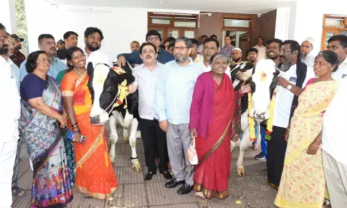 ಹಸುವಿನ ಕೆಚ್ಚಲು ಕೊಯ್ದ ಪ್ರಕರಣ | ಕುಟುಂಬಕ್ಕೆ ಮೂರು ಹಸು ಕೊಡಿಸಿದ ಝಮೀರ್ ಅಹ್ಮದ್‌