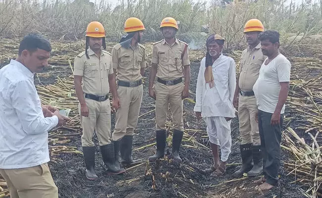 ಕಲಬುರಗಿ | ಕಟಾವಿಗೆ ಬಂದಿದ್ದ 10 ಎಕರೆ ಕಬ್ಬು ಬೆಂಕಿಗಾಹುತಿ : ಕಂಗಾಲಾದ ರೈತರು ಕಲಬುರಗಿ | ಕಟಾವಿಗೆ ಬಂದಿದ್ದ 10 ಎಕರೆ ಕಬ್ಬು ಬೆಂಕಿಗಾಹುತಿ : ಕಂಗಾಲಾದ ರೈತರು