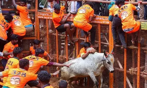 ತಮಿಳುನಾಡು: ಹೋರಿ ಪಳಗಿಸುವ ಸ್ಪರ್ಧೆಗಳಲ್ಲಿ 7 ಮಂದಿ ಮೃತ್ಯು; 400ಕ್ಕೂ ಅಧಿಕ ಮಂದಿಗೆ ಗಾಯ