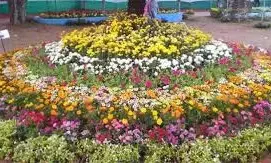 ಜ.23-26: ಕದ್ರಿ ಉದ್ಯಾನವನದಲ್ಲಿ ಫಲಪುಷ್ಪ ಪ್ರದರ್ಶನ