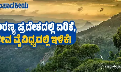 ಅರಣ್ಯ ಪ್ರದೇಶದಲ್ಲಿ ಏರಿಕೆ, ಜೀವ ವೈವಿಧ್ಯದಲ್ಲಿ ಇಳಿಕೆ!
