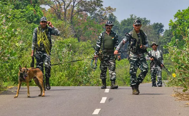 ಚತ್ತೀಸ್ ಗಢ | 50 ಕಿ.ಗ್ರಾಂ. ಐಇಡಿ ನಿಷ್ಕ್ರಿಯಗೊಳಿಸಿದ ಸಿ ಆರ್ ಪಿ ಎಫ್ ; ತಪ್ಪಿದ ಅತಿ ದೊಡ್ಡ ದುರಂತ ಚತ್ತೀಸ್ ಗಢ | 50 ಕಿ.ಗ್ರಾಂ. ಐಇಡಿ ನಿಷ್ಕ್ರಿಯಗೊಳಿಸಿದ ಸಿ ಆರ್ ಪಿ ಎಫ್ ; ತಪ್ಪಿದ ಅತಿ ದೊಡ್ಡ ದುರಂತ