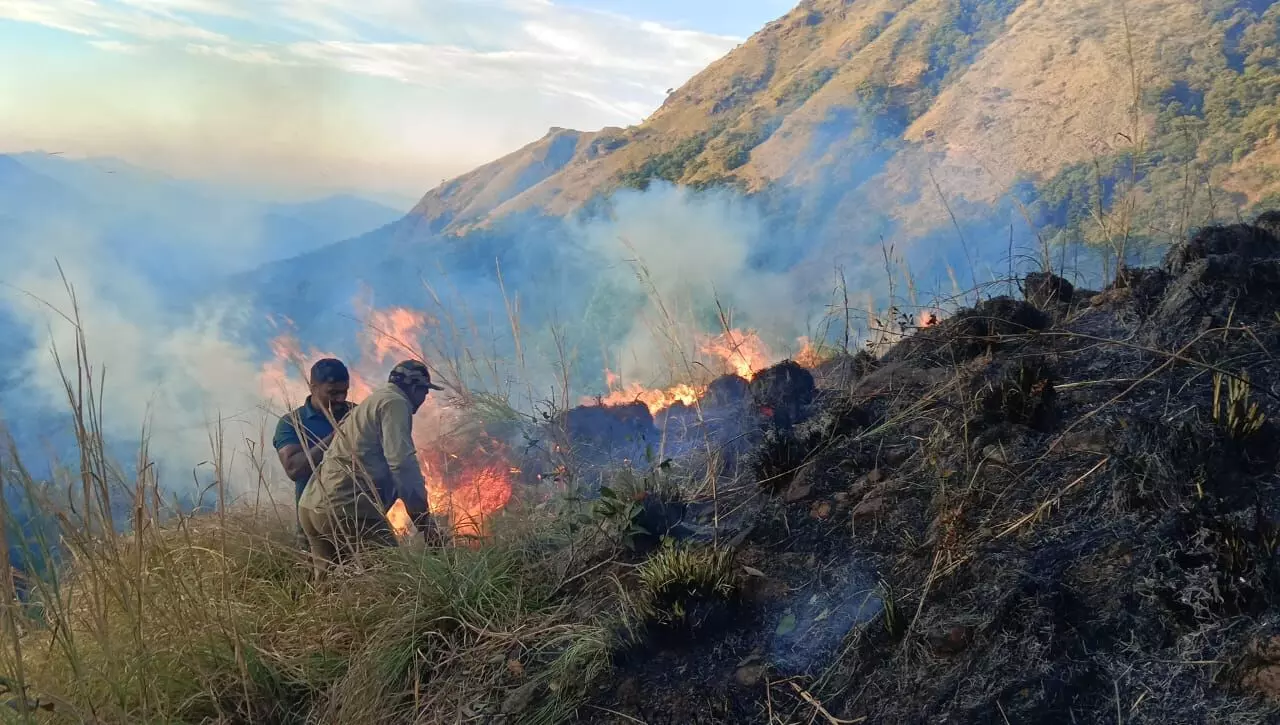 ಚಾರ್ಮಾಡಿ ಘಾಟ್‌ ಪ್ರದೇಶದಲ್ಲಿ ಮತ್ತೆ ಬೆಂಕಿ ಅವಘಡ; ಬೆಂಕಿ ನಂದಿಸಲು ಅರಣ್ಯ ಇಲಾಖೆ, ಅಗ್ನಿಶಾಮಕ ದಳ ಹರಸಾಹಸ