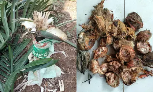 ಈ ದೇಶದ ರೈತರು ಯಾರನ್ನೆಲ್ಲ ಸಾಕಬೇಕು?