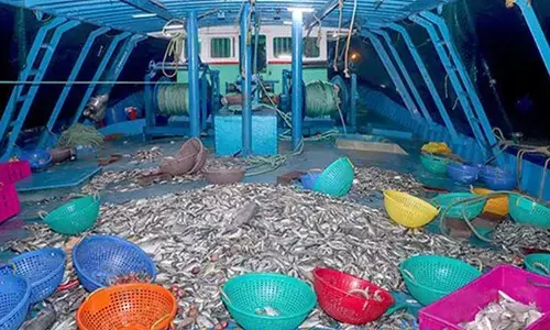 ಶ್ರೀಲಂಕಾ ನೌಕಾ ಪಡೆ ಗುಂಡಿಗೆ ಇಬ್ಬರು ಮೀನುಗಾರರಿಗೆ ಗಾಯ ; ಪ್ರತಿಭಟನೆ ದಾಖಲಿಸಿದ ಭಾರತ