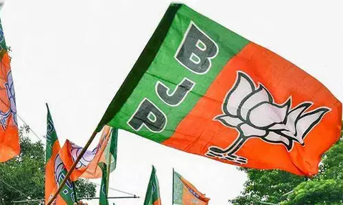 BJP FLAG