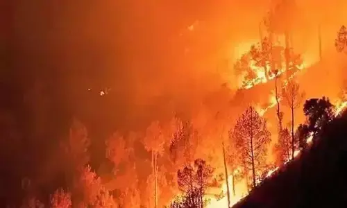 ಅರ್ಜೆಂಟೀನಾ ಕಾಡ್ಗಿಚ್ಚು: ಒಬ್ಬ ಮೃತ್ಯು; 800 ಮಂದಿ ಸ್ಥಳಾಂತರ