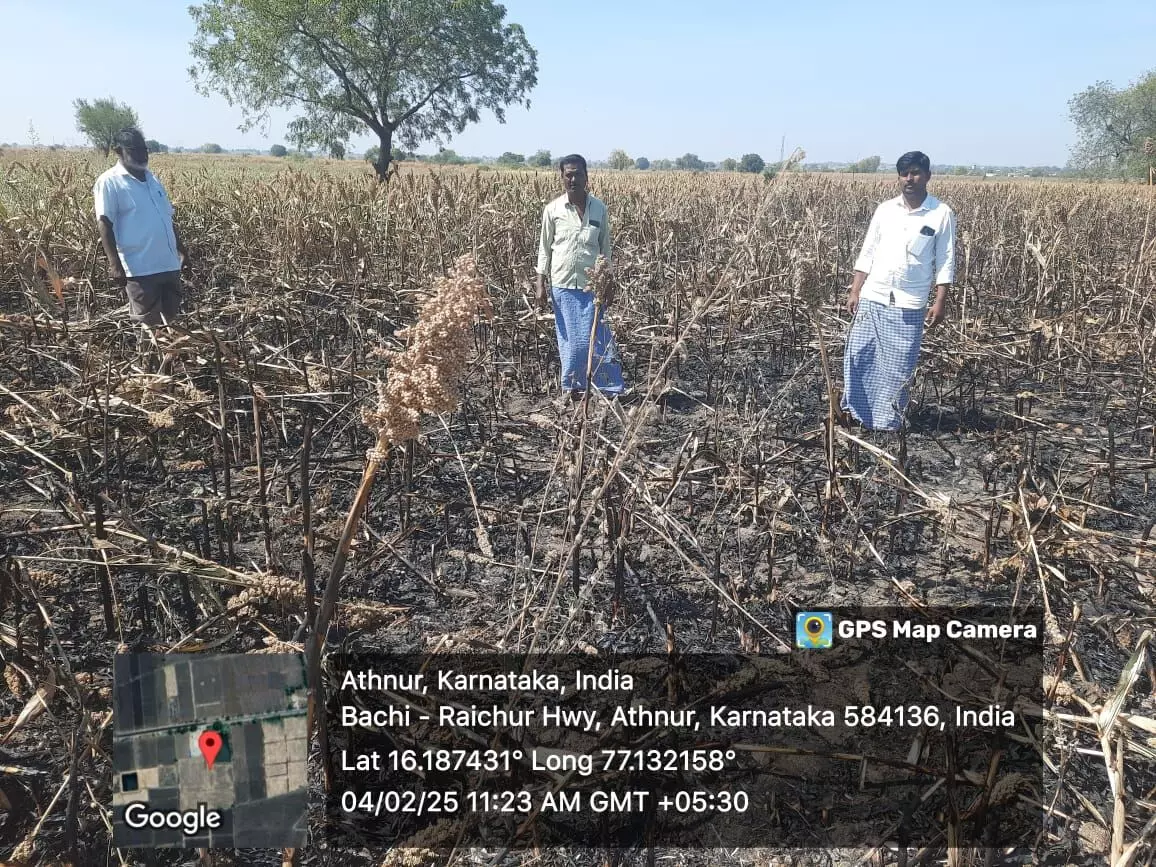 ಜೋಳದ ಹೊಲದಲ್ಲಿ ಆಕಸ್ಮಿಕ ಬೆಂಕಿ: ಲಕ್ಷಾಂತರ ರೂ. ಮೌಲ್ಯದ ಬೆಳೆ ನಷ್ಟ