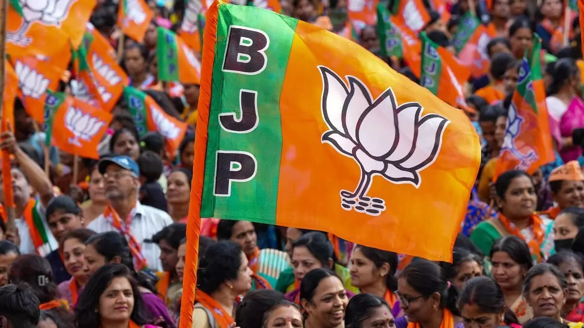 BJP flag