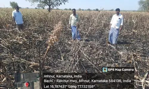 ಜೋಳದ ಹೊಲದಲ್ಲಿ ಆಕಸ್ಮಿಕ ಬೆಂಕಿ: ಲಕ್ಷಾಂತರ ರೂ. ಮೌಲ್ಯದ ಬೆಳೆ ನಷ್ಟ