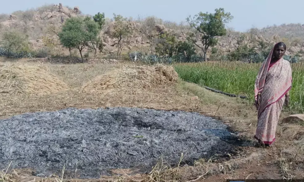 ರಾಯಚೂರು | ಸಜ್ಜೆ ಗೂಡಿಗೆ ಕಿಡಿಗೇಡಿಗಳಿಂದ ಬೆಂಕಿ : 80 ಸಾವಿರ ರೂ. ಮೌಲ್ಯದ ಬೆಳೆ ನಷ್ಟ