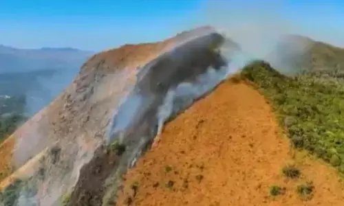 ಚಿಕ್ಕಮಗಳೂರು | ಆನೆಗುಡ್ಡ ಮೀಸಲು ಅರಣ್ಯ ಪ್ರದೇಶದಲ್ಲಿ ಕಾಡ್ಗಿಚ್ಚು; ಬೆಂಕಿ ನಂದಿಸಲು ಹರಸಾಹಸ