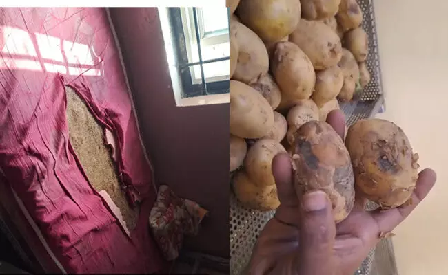 ರಾಯಚೂರು | ಮಾನ್ವಿಯ ಮೊರಾರ್ಜಿ ದೇಸಾಯಿ ವಸತಿ ಶಾಲೆಯಲ್ಲಿ ಅವ್ಯವಸ್ಥೆ : ಅಧಿಕಾರಿಗಳ ವಿರುದ್ಧ ಆಕ್ರೋಶ ರಾಯಚೂರು | ಮಾನ್ವಿಯ ಮೊರಾರ್ಜಿ ದೇಸಾಯಿ ವಸತಿ ಶಾಲೆಯಲ್ಲಿ ಅವ್ಯವಸ್ಥೆ : ಅಧಿಕಾರಿಗಳ ವಿರುದ್ಧ ಆಕ್ರೋಶ