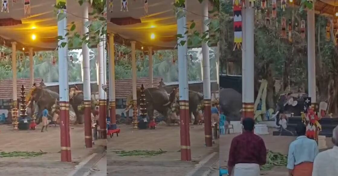 ಕೇರಳ: ದೇಗುಲದ ಉತ್ಸವದಲ್ಲಿ ಹುಚ್ಚೆದ್ದು ಓಡಿದ ಆನೆ; ಮೂವರು ಮೃತ್ಯು, 36 ಮಂದಿಗೆ ಗಾಯ
