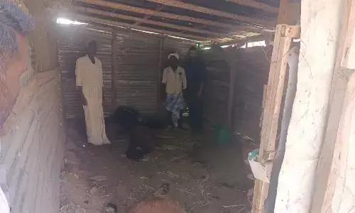 ಚಾಮರಾಜನಗರ : ಚಿರತೆ ದಾಳಿಗೆ ಕರುಗಳು ಬಲಿ; ಆತಂಕದಲ್ಲಿ ಗ್ರಾಮಸ್ಥರು