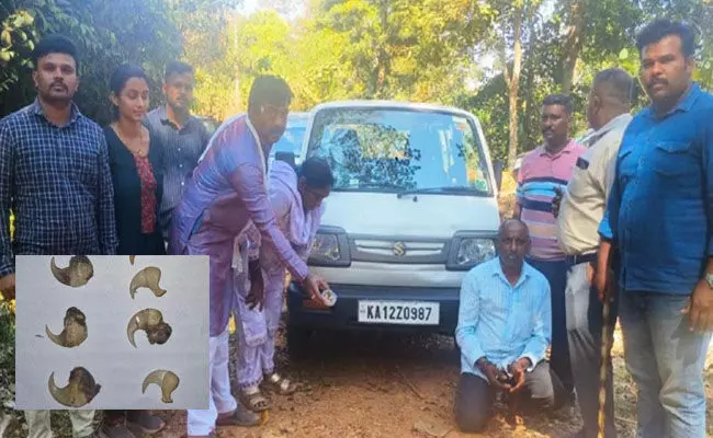 ಪೊನ್ನಂಪೇಟೆ | ಹುಲಿ ಚರ್ಮ-ಉಗುರು ಮಾರಾಟ ಜಾಲ: ವ್ಯವಹಾರ ಕುದುರಿಸುವಾಗಲೇ ದಾಳಿ, ಇಬ್ಬರ ಬಂಧನ