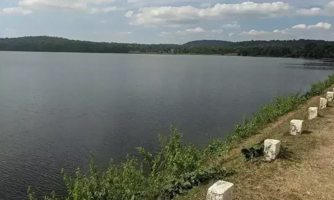 ಶಿವಮೊಗ್ಗ: ಅಂಬ್ಲಿಗೊಳ ಜಲಾಶಯದ ಹಿನ್ನೀರಿನಲ್ಲಿ ಹುಲಿಯ ಮೃತದೇಹ ಪತ್ತೆ