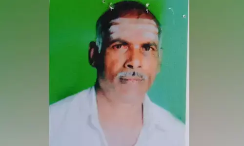 ದಾವಣಗೆರೆ | ಹೆಜ್ಜೇನು ದಾಳಿಗೆ ರೈತ ಮೃತ್ಯು