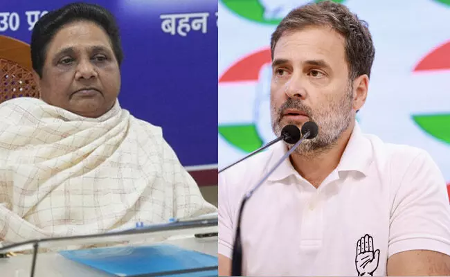 ಮಾಯಾವತಿ ಇಂಡಿಯಾ ಒಕ್ಕೂಟ ಸೇರಿದ್ದರೆ, ಬಿಜೆಪಿ ಸೋಲುತ್ತಿತ್ತು: ರಾಹುಲ್ ಗಾಂಧಿ