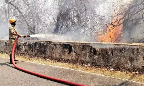 ಮೈಸೂರು | ಚಾಮುಂಡಿ ಬೆಟ್ಟದ ಅರಣ್ಯದಲ್ಲಿ ಕಾಣಿಸಿಕೊಂಡ ಬೆಂಕಿ: ಕಿಡಿಗೇಡಿಗಳ ಕೃತ್ಯ ಶಂಕೆ