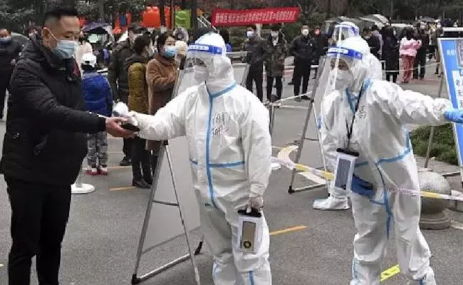 ಕೊರೊನಾ ವೈರಸ್ ಬಳಿಕ ಬಾವಲಿ ಕೊರೊನಾ ವೈರಸ್ ಸರದಿ?