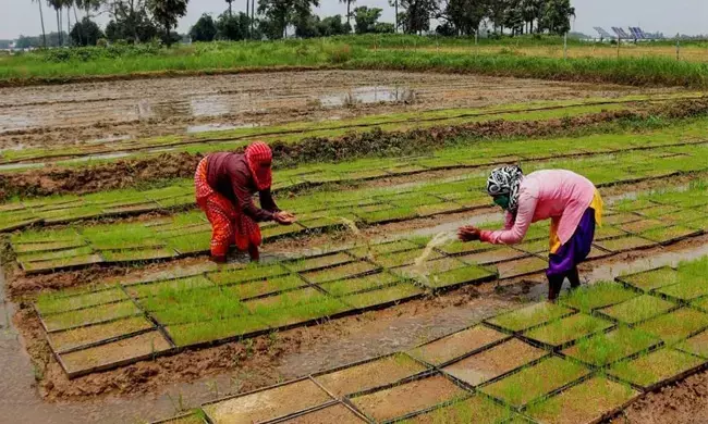ಹೊರಗಿನವರಿಂದ ರಾಜ್ಯದಲ್ಲಿ ಕೃಷಿಭೂಮಿ ಖರೀದಿಗೆ ನಿಷೇಧ: ಮಸೂದೆಯನ್ನು ಅಂಗೀಕರಿಸಿದ ಉತ್ತರಾಖಂಡ ವಿಧಾನಸಭೆ