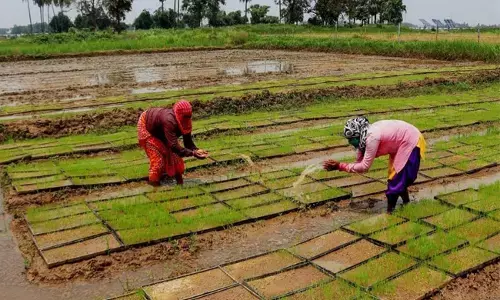 ಹೊರಗಿನವರಿಂದ ರಾಜ್ಯದಲ್ಲಿ ಕೃಷಿಭೂಮಿ ಖರೀದಿಗೆ ನಿಷೇಧ: ಮಸೂದೆಯನ್ನು ಅಂಗೀಕರಿಸಿದ ಉತ್ತರಾಖಂಡ ವಿಧಾನಸಭೆ