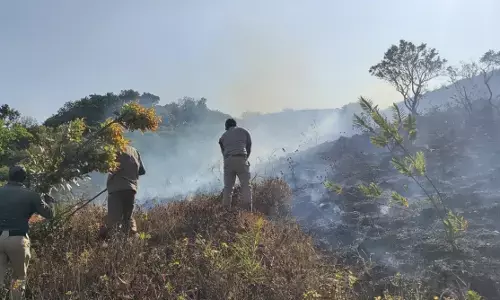 ಚಿಕ್ಕಮಗಳೂರು ಜಿಲ್ಲೆಯ ಅಲ್ಲಲ್ಲಿ ಕಾಡ್ಗಿಚ್ಚು: ಹುಲ್ಲುಗಾವಲು, ಅರಣ್ಯ ಪ್ರದೇಶ ಬೆಂಕಿಗಾಹುತಿ