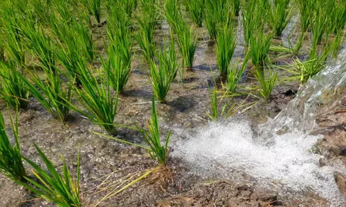 agriculture in water-scarce