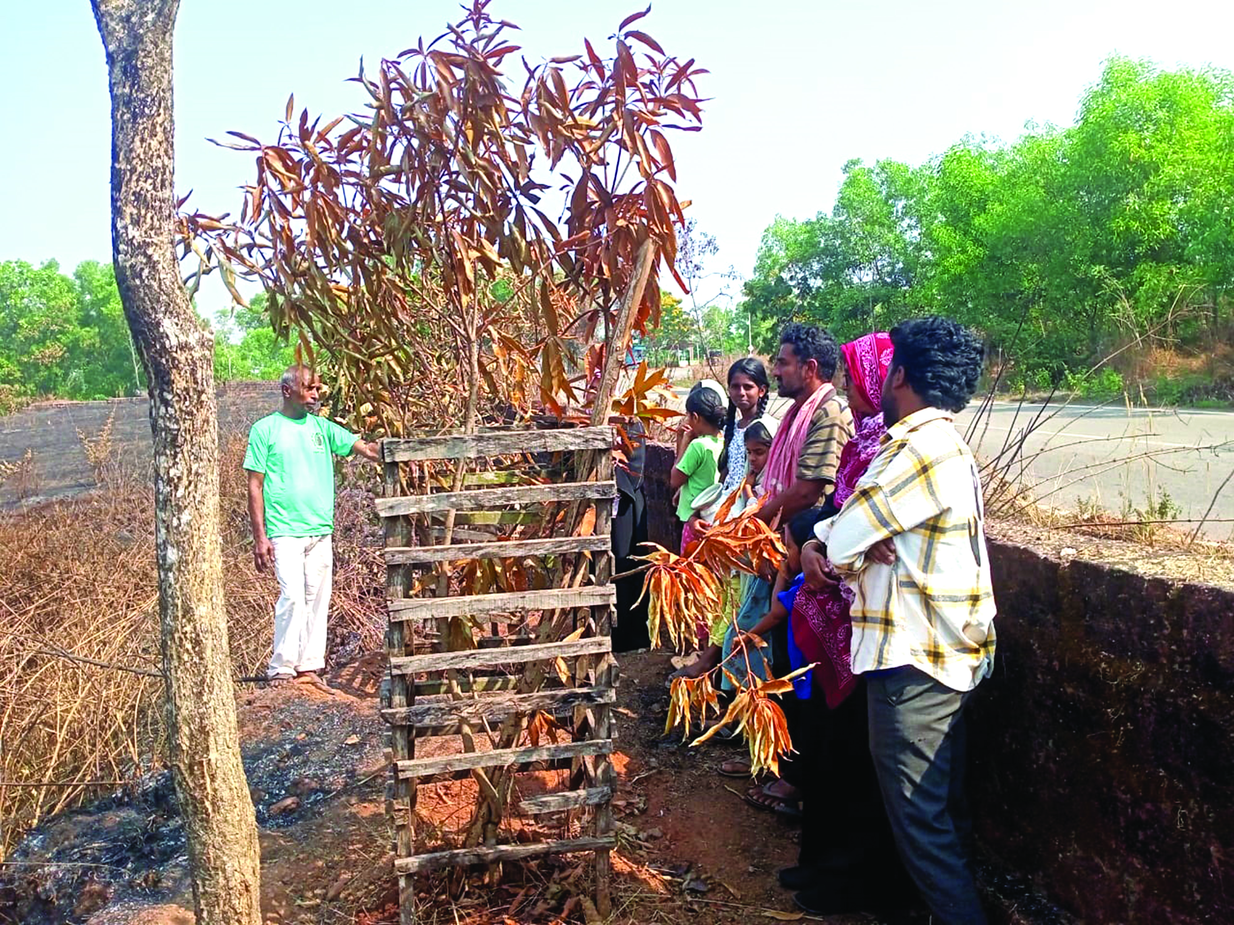 ರಸ್ತೆ ಬದಿಯ ಸಾಲು ಮರಗಳನ್ನೇ ಸುಡುತ್ತಿದೆ ನಾಡ್ಗಿಚ್ಚು!