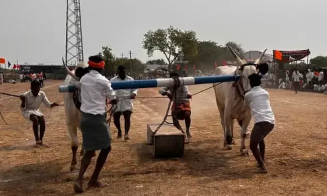 ಸಿರವಾರ | ಮಯೂರ ಶಿಲೆ ನಾಡೋತ್ಸವಕ್ಕೆ ಚಾಲನೆ