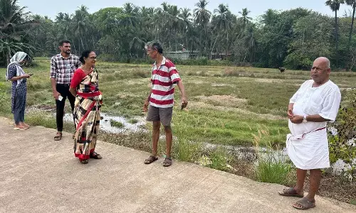 ಕೋಡಿ ಕೃಷಿಭೂಮಿಗೆ ಉಪ್ಪುನೀರು: ಕೃಷಿ ಅಧಿಕಾರಿ ಭೇಟಿ