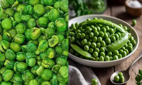 ಕರಿದ ‘ಹಸಿರು ಬಟಾಣಿ’ಗಳ ಮಾದರಿಗಳಲ್ಲಿ ಬಹುತೇಕ ಅಸುರಕ್ಷಿತ; ಸಿಎಂ ವಿಶೇಷ ಅಧಿಕಾರಿಗೆ ಅನುಪಾಲನ ವರದಿ ಸಲ್ಲಿಕೆ