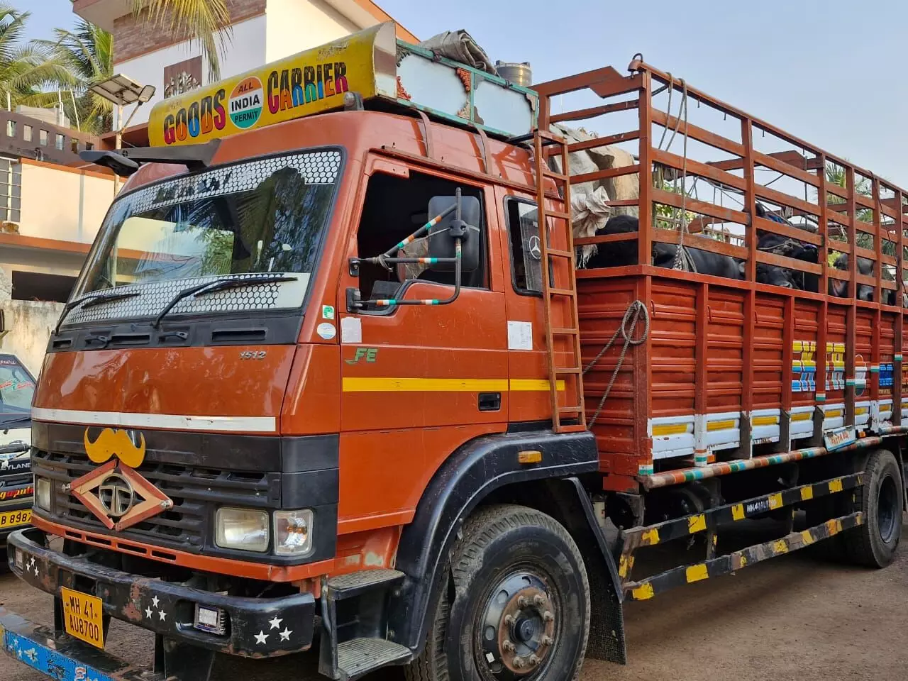 ಭಟ್ಕಳ: ಅಕ್ರಮ ಜಾನುವಾರು ಸಾಗಾಟ ಆರೋಪ; ಲಾರಿ ಸಹಿತ ಓರ್ವನ ಬಂಧನ